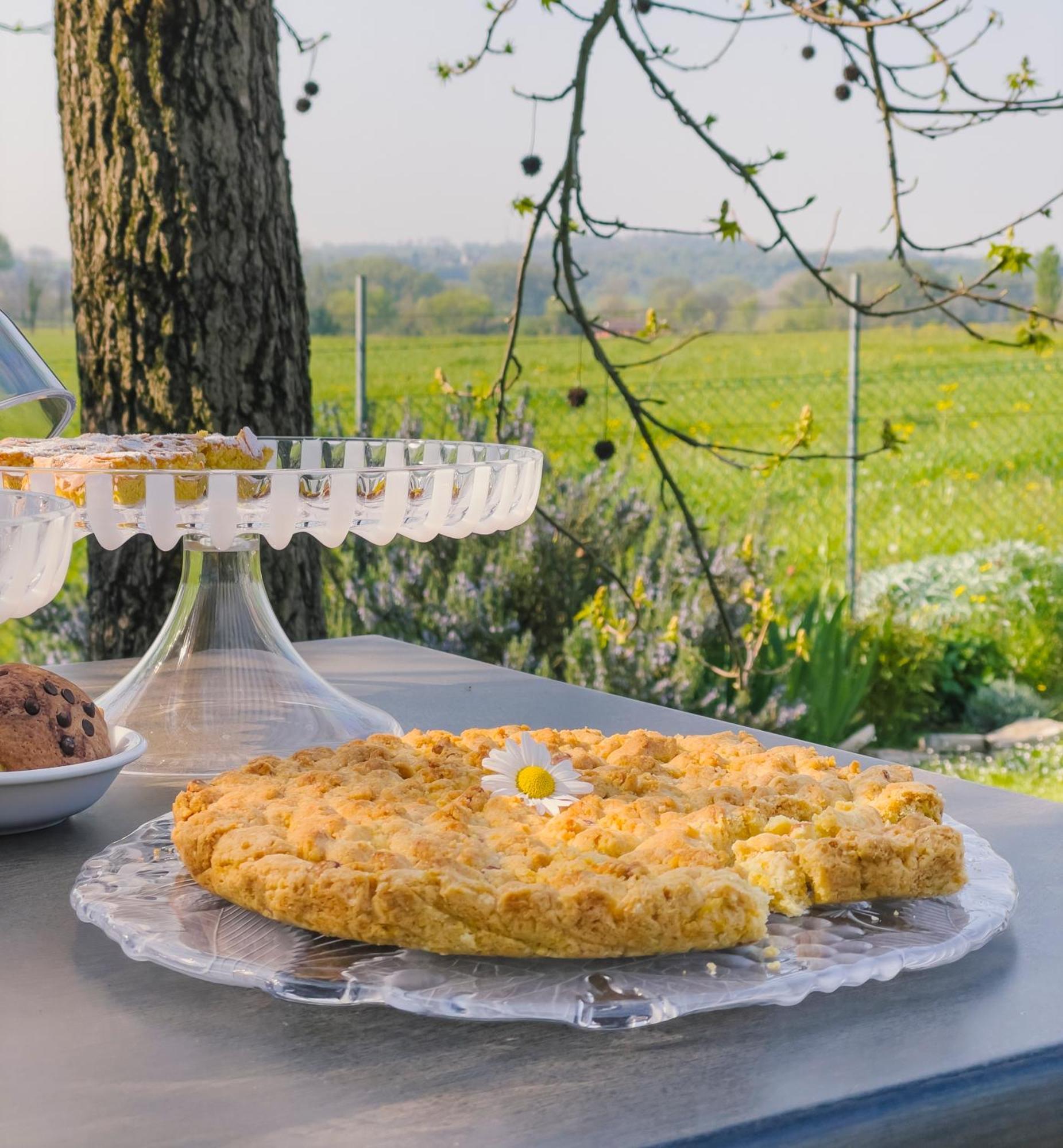 Agriturismo" Il Glicine Bianco" 蒙赞巴诺 外观 照片
