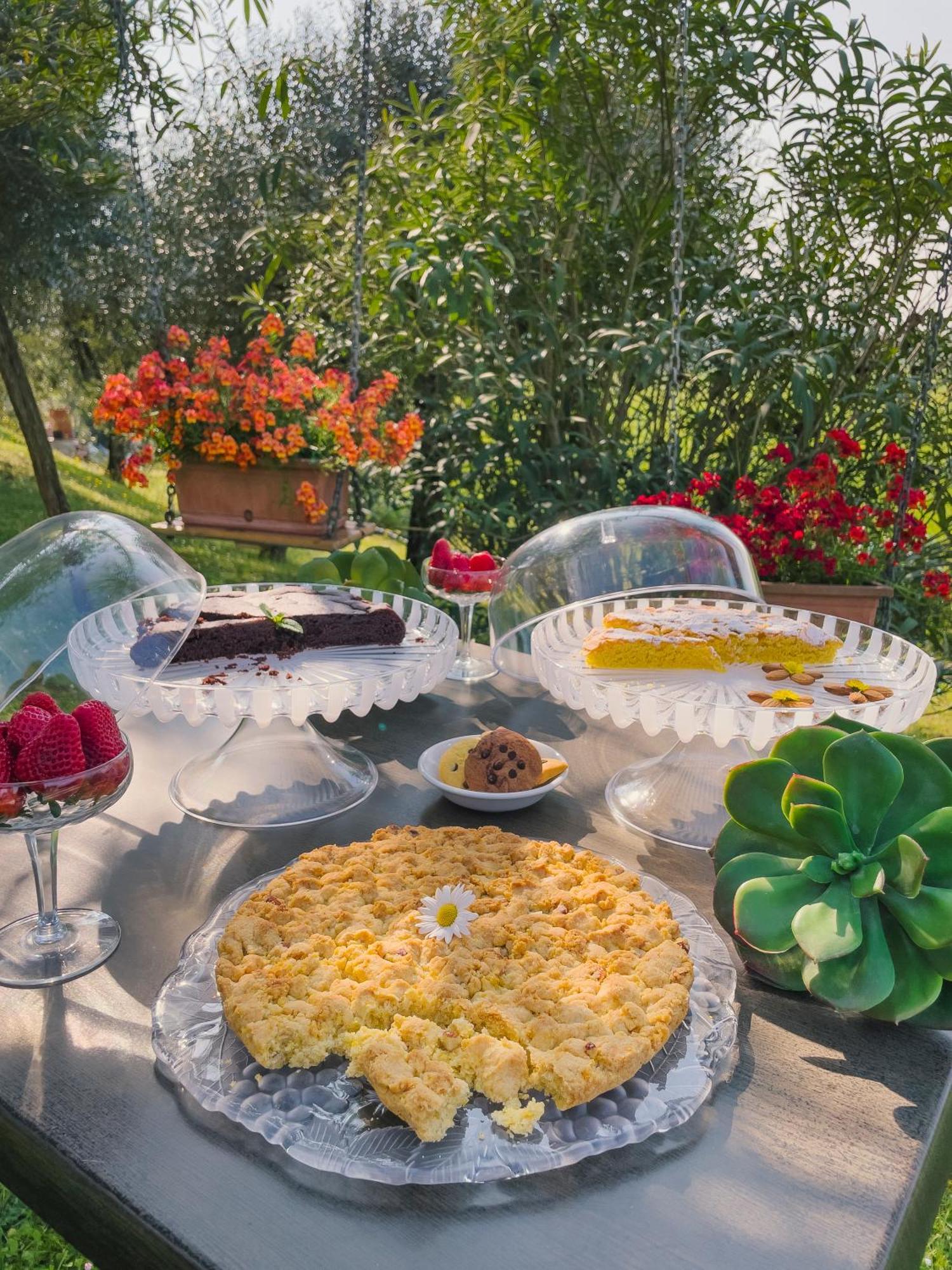 Agriturismo" Il Glicine Bianco" 蒙赞巴诺 外观 照片