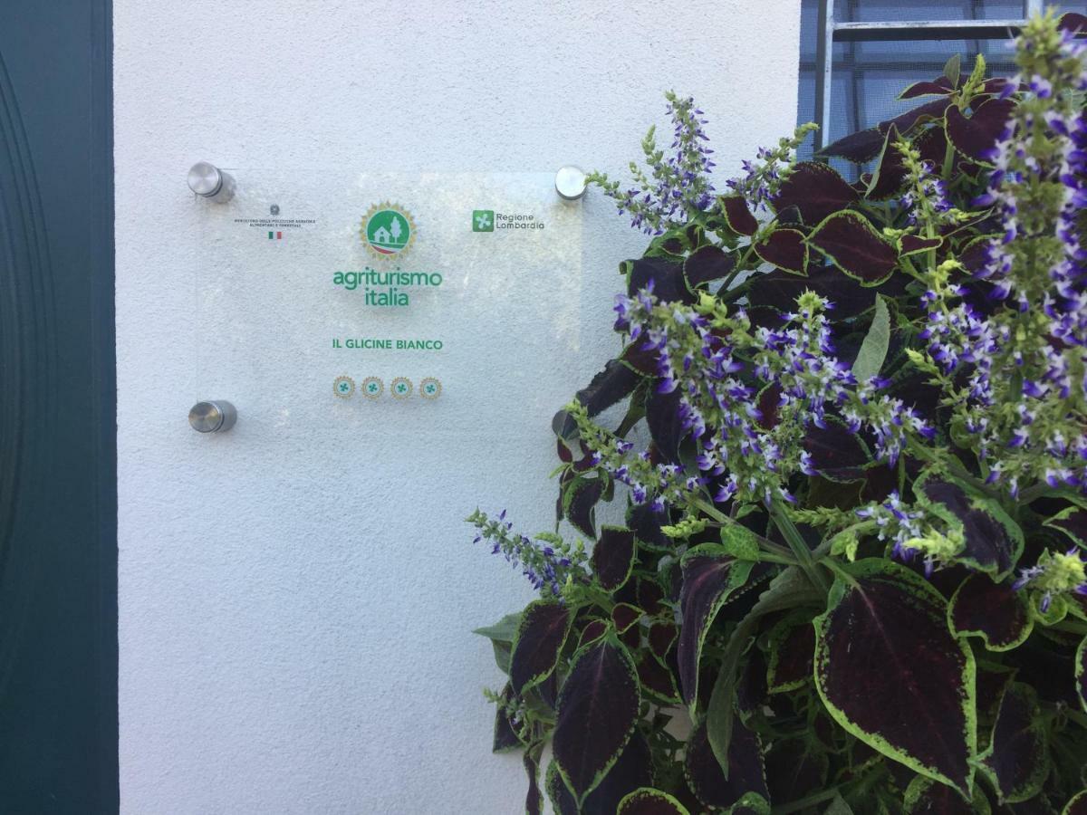 Agriturismo" Il Glicine Bianco" 蒙赞巴诺 外观 照片